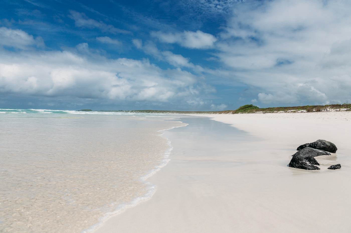 Galapagos - Tortuga Bay + Turtle Reserve (25 of 58) June 15