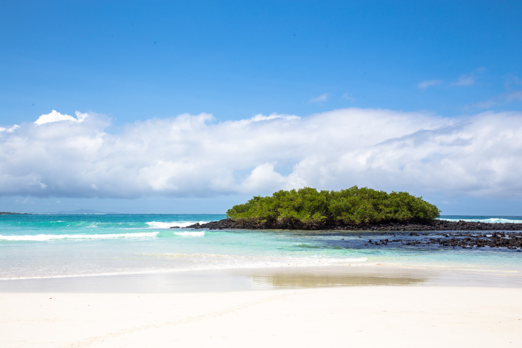 Galapagos | Kayaks & Iguanas at Tortuga Bay