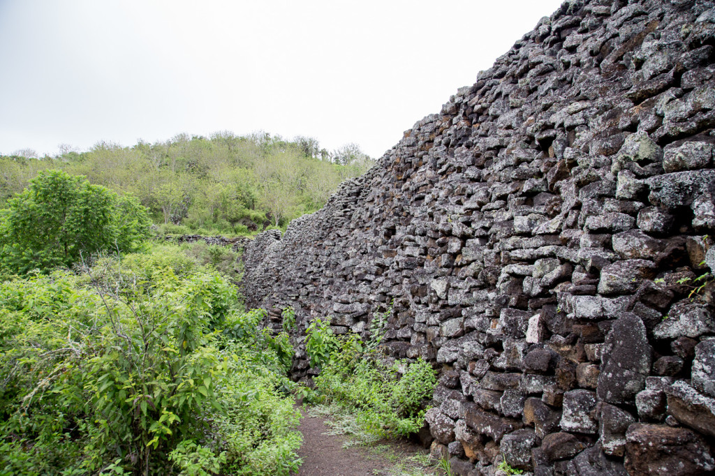 Galapagos | Biking to Los Humedales & Wall of Tears