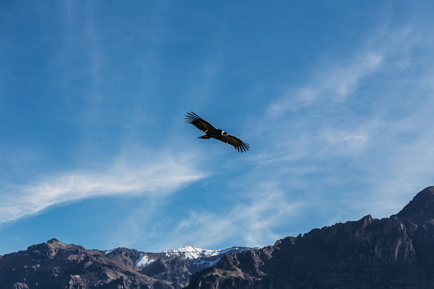 Arequipa - Colca Canyon (39 of 133) June 15