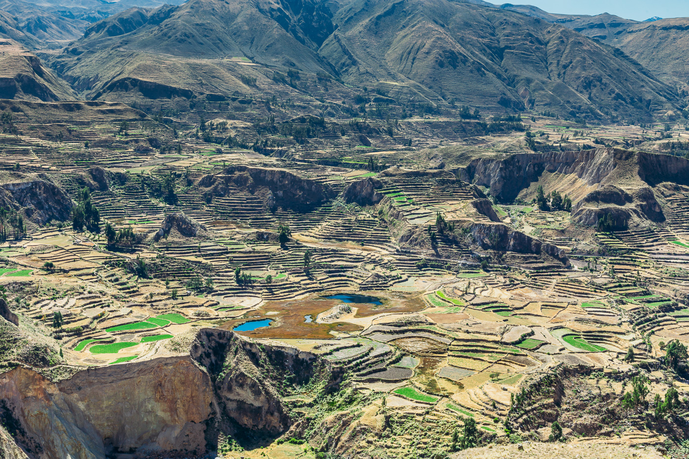 Arequipa - Colca Canyon (97 of 133) June 15