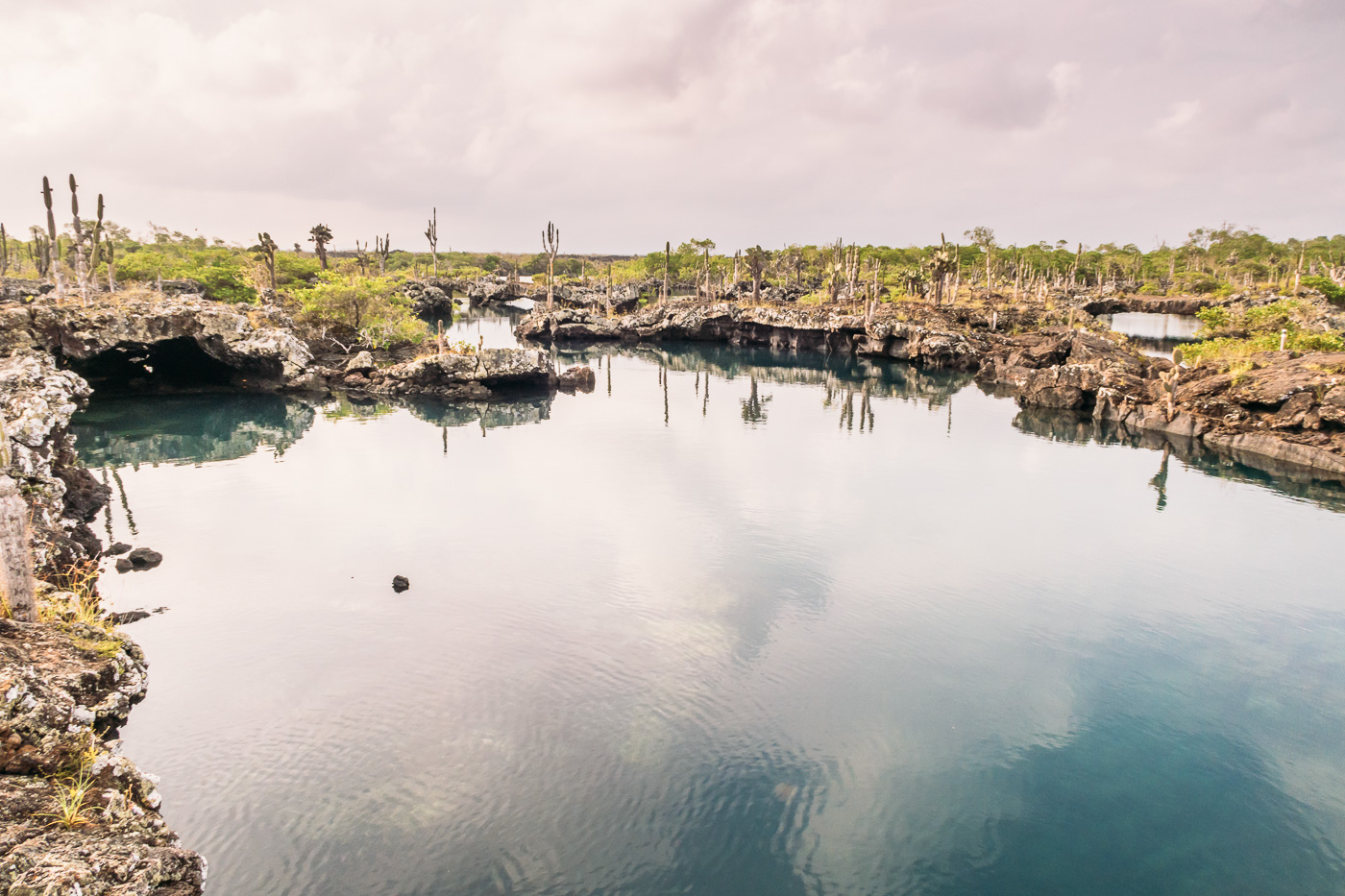 Lava Tunnels, Los Tuneles, Isla Isabela