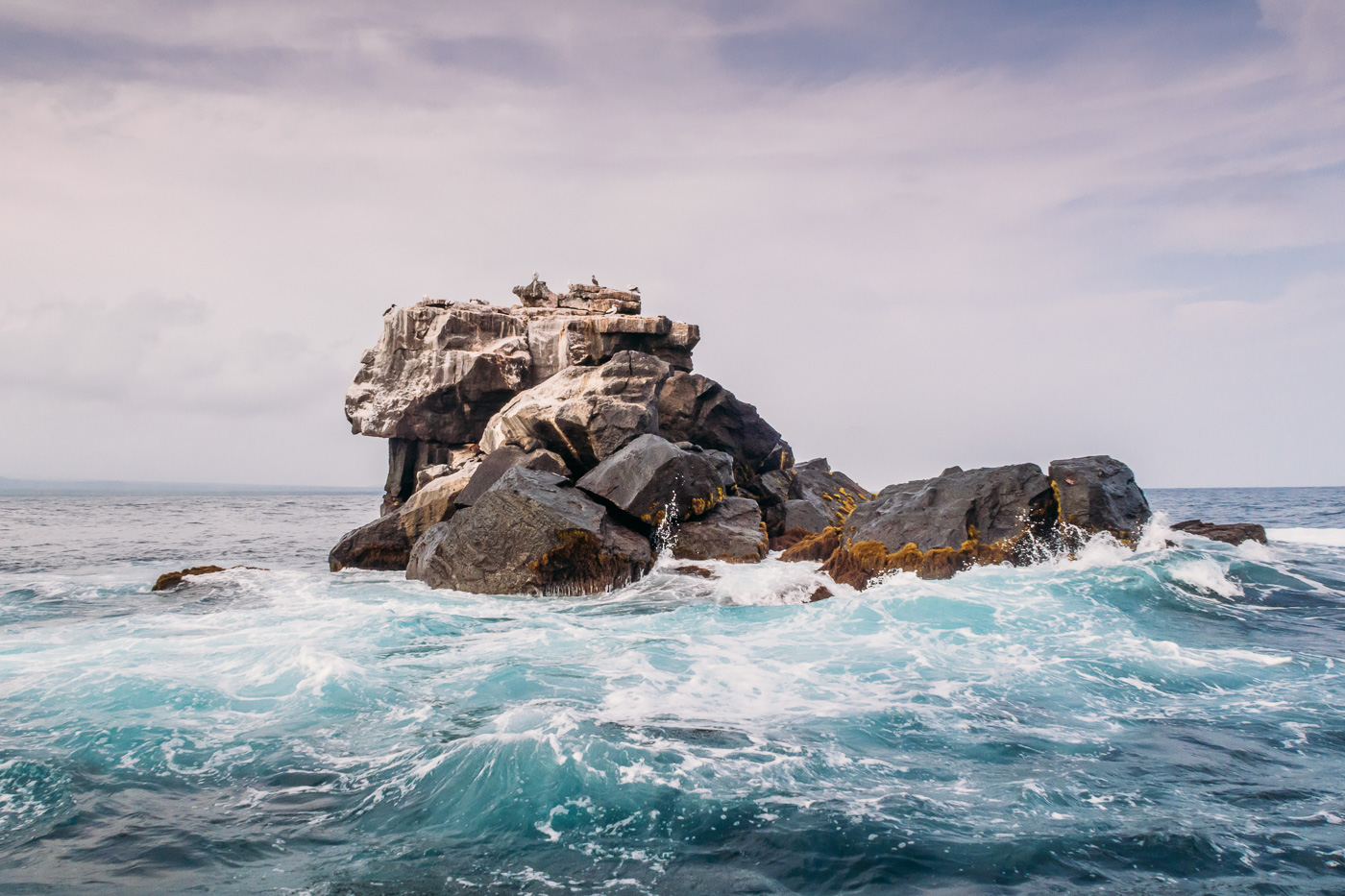 Los Tuneles Tour Galapagos Los Tuneles Tour Galapagos