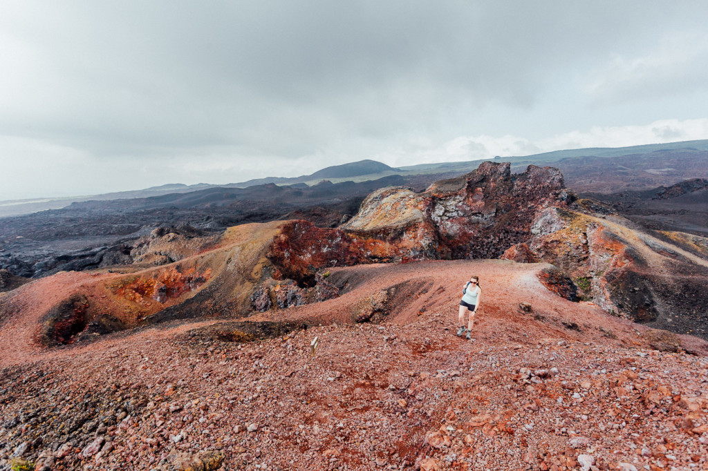 Galapagos | Hiking Isabela’s Volcán Sierra Negra & Volcán Chico