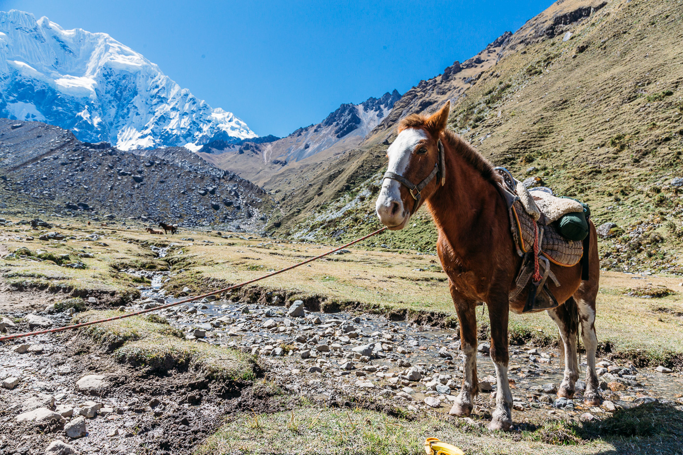 Salkantay (13 of 160) June 15