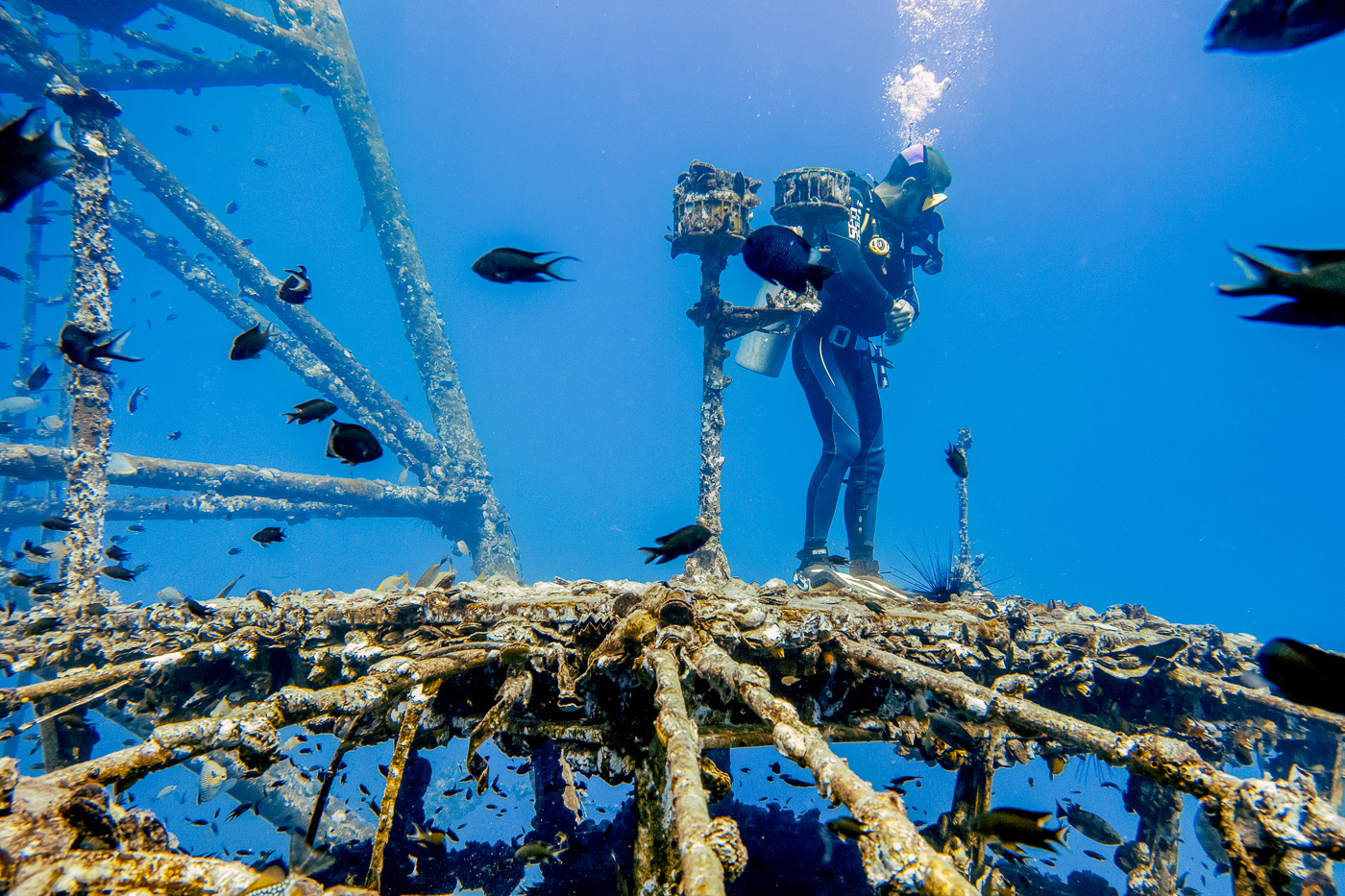 Diving Koh Kood - Our day trip with Koh Kood Divers to explore the HTMS Chang ship wreck
