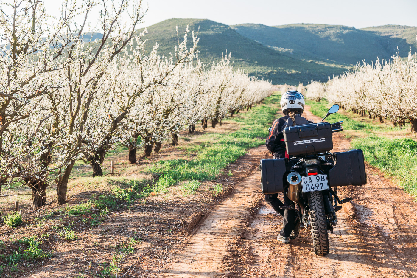 Getting lost in the orchards of the Little Karoo on Route 62 motorcycle tour