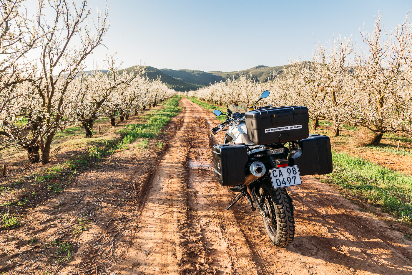 Stunning orchardes en route to Oudtshoorn from Cape Town