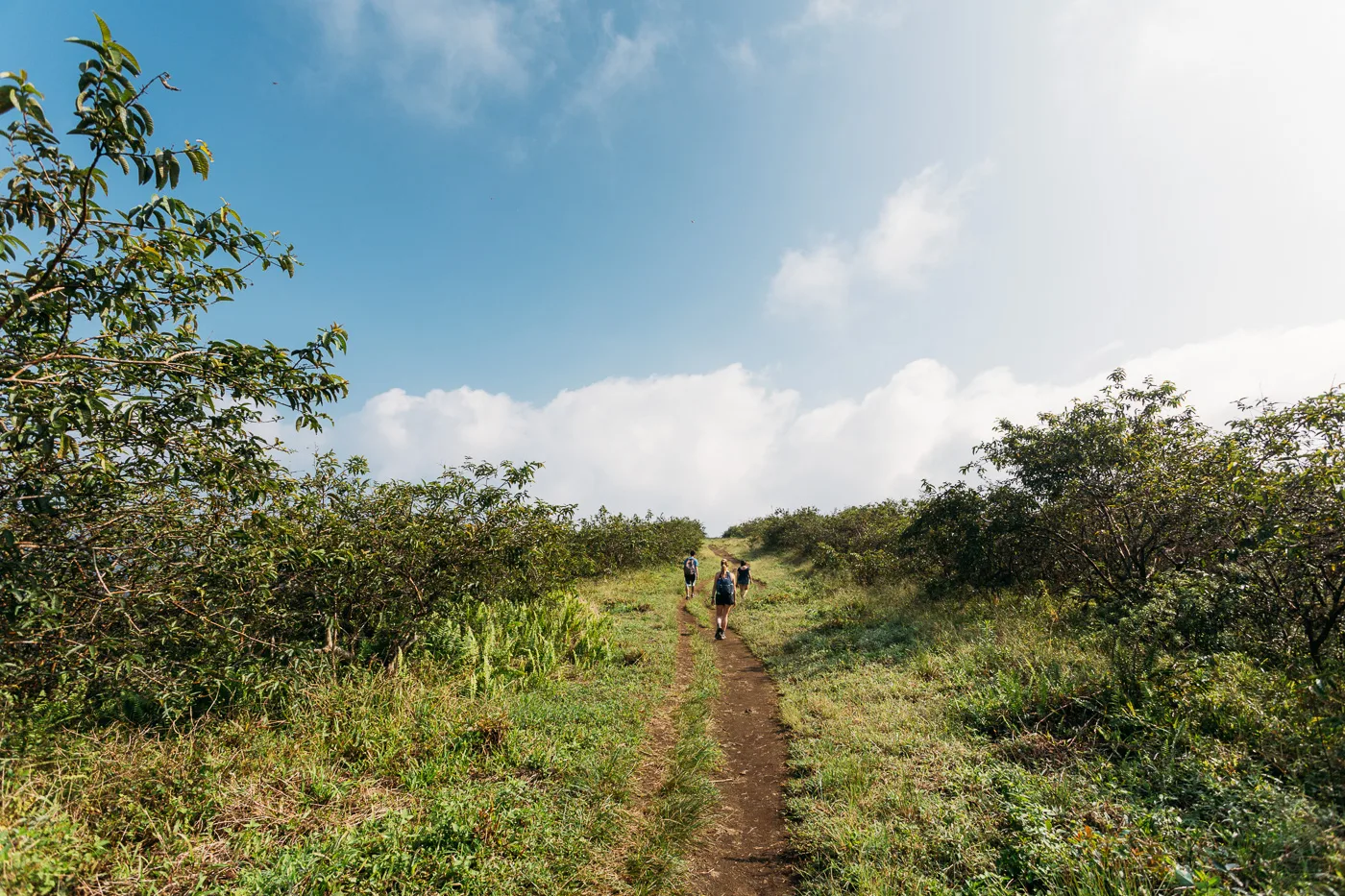 Galapagos - Sierra Negra Volcano (12 of 72) June 15