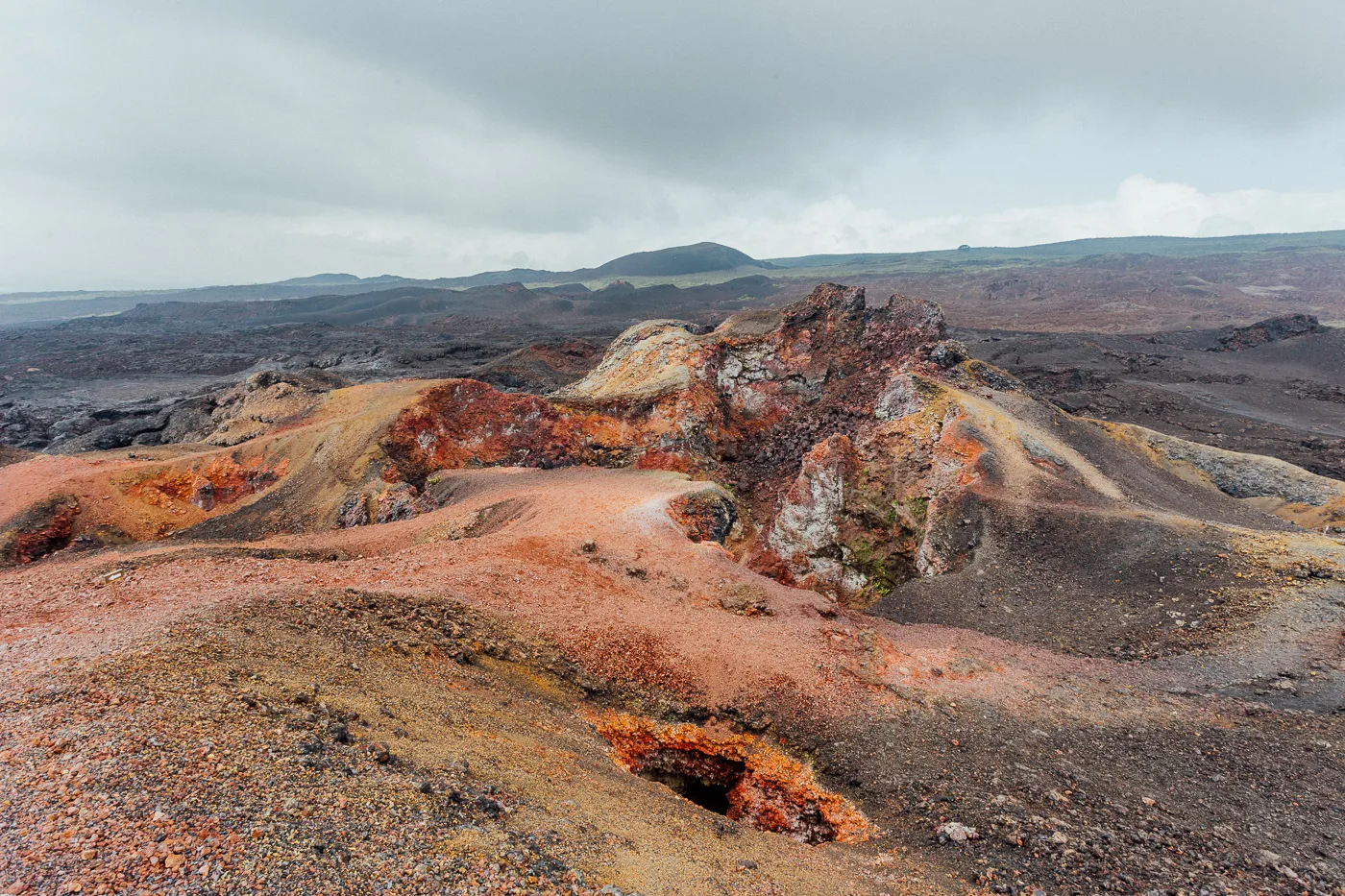 Galapagos - Sierra Negra Volcano (65 of 72) June 15