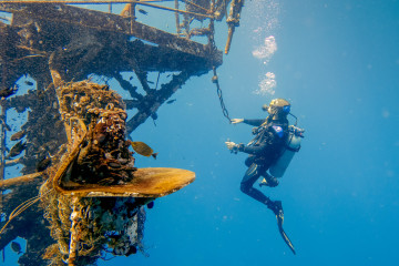 Koh Kood Divers dive master Adrian hangs from the crows nest of the HTMS Chang ship wreck off the coast of Koh Chang Thailand