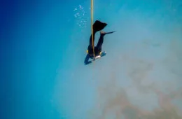 Is free diving in the Philippines worth it? Palawan Divers El Nido