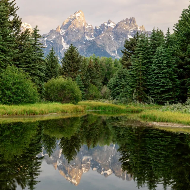 Back ponds at Schwabacher Landing.
